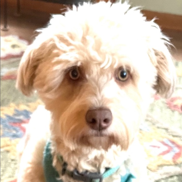 Back to selling 🥰 and shopping 😍 - Picture 3 of 9